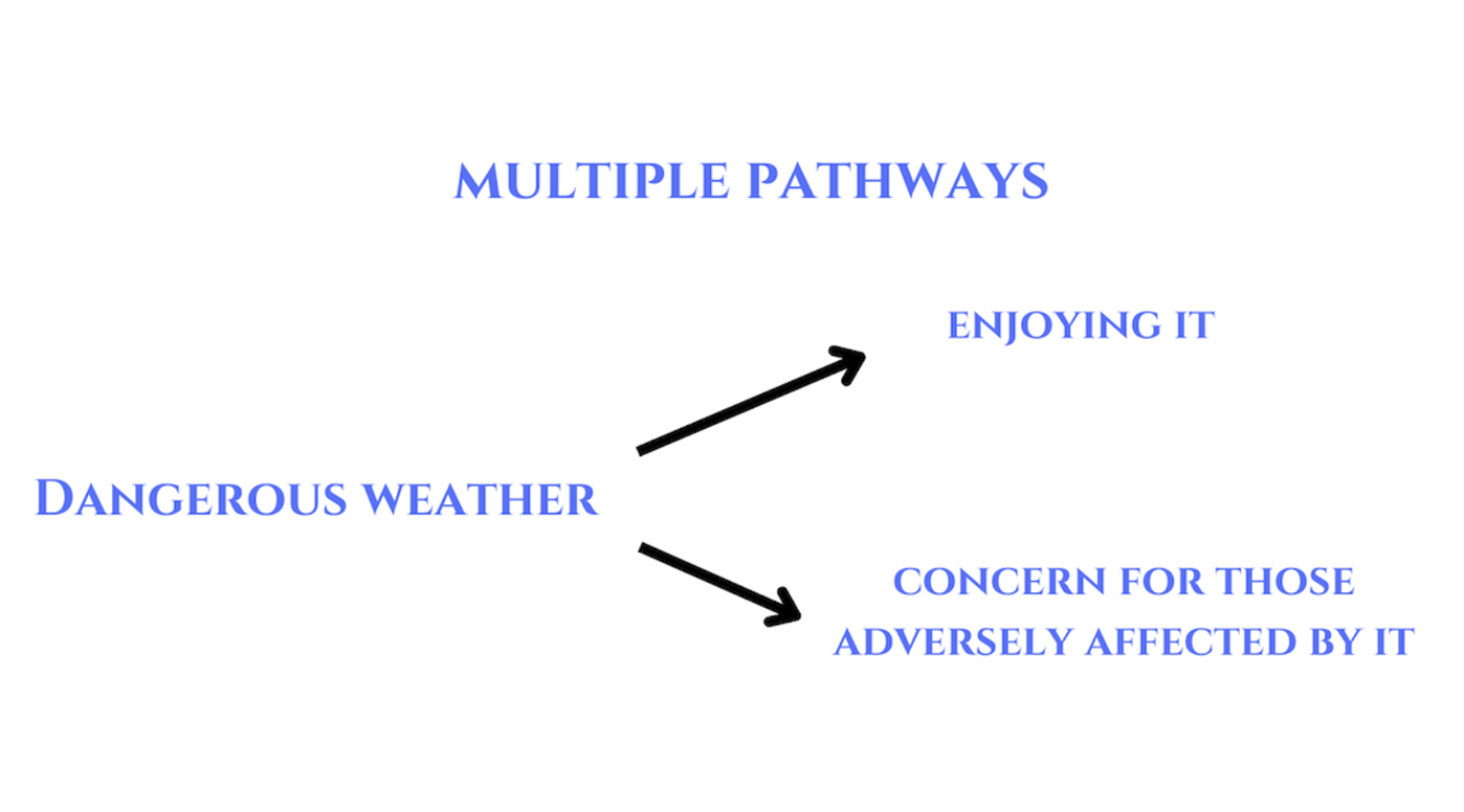 SLIDE_2_DIAGRAM_OF_MULTIPLE_PATHWAYS.png